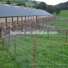 Clôture galvanisée de ferme de champ / clôture bon marché de champ